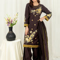 Elegant Embroidered Pakistani Salwar Kameez